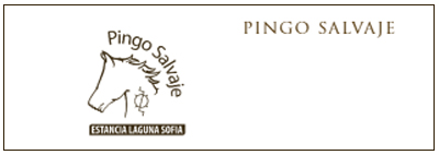 PINGO