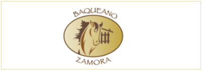 baqueano
