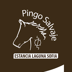 pingo.jpg
